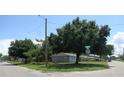 Charming single-story home with lush front yard and mature landscaping at 4105 W Tyson Ave, Tampa, FL 33611