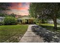 Charming single-story home with mature landscaping and a covered carport in a twilight setting at 1116 W Kirby St, Tampa, FL 33604