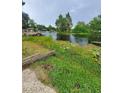Scenic waterfront view, showing a waterway, lush greenery, and a dock at 2014 Nancy Ave, Lutz, FL 33548