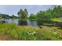 Picturesque water view with lush greenery and a tranquil waterscape at 2014 Nancy Ave, Lutz, FL 33548