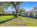 Lovely front yard with mature trees, lawn, landscaping, and charming blue chairs on the home's front porch at 489 W Davis Blvd, Tampa, FL 33606