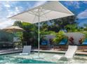 Inviting backyard pool featuring in-pool seating and shade umbrellas at 112 E Plymouth St, Tampa, FL 33603