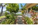 Green backyard pathway lined with lush plants and trees leads to a serene outdoor space at 4720 Coronado S Way, Gulfport, FL 33711