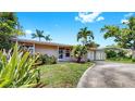 Well-maintained home featuring lush landscaping, mature palm trees, and an extended driveway at 11460 Park Blvd, Seminole, FL 33772