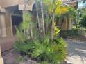Well-maintained front yard with lush green plants, brick pavers, and tropical landscaping near the walkway at 1353 El Pardo Dr, Trinity, FL 34655