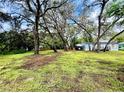 Expansive, green yard with mature trees offering shade and tranquility, leading up to a cozy home at 1821 Weekend Ln, Odessa, FL 33556
