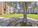 Exterior of multi-story condo building with lush lawn and sidewalk at 5820 N Church Ave # 147, Tampa, FL 33614