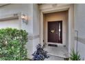 Close-up of the front door showcasing decorative details and a welcoming entrance at 7603 Wood Violet Dr, Gibsonton, FL 33534