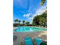 Resort-style community pool with lounge chairs and lush landscaping at 11011 Little Blue Heron Dr, Riverview, FL 33579