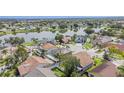 An aerial view of a neighborhood with a community lake featuring well-maintained lawns and mature trees at 1205 Sweet Gum Dr, Brandon, FL 33511