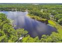 An aerial view of the lake from an angle revealing an island in the middle and trees surrounding it at 17906 Loretta Ln, Lutz, FL 33548