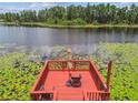 Aerial close-up of a red deck overlooking the lake with water lilies and an umbrella with two chairs at 17906 Loretta Ln, Lutz, FL 33548