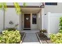 Charming entryway with a decorative door and well-maintained landscaping at 9209 Seminole Blvd # 13, Seminole, FL 33772