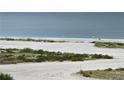 A beautiful beach scene with plants and a couple of people walking along the shoreline at 1230 Gulf Blvd # 601, Clearwater Beach, FL 33767