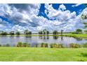 Scenic lake view with lush greenery and a calm reflective surface, ideal for nature enthusiasts at 2226 N Creek Ct, Sun City Center, FL 33573