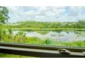 Picturesque views of the pond and lush landscaping from the window at 1674 Roseville St, Lutz, FL 33549