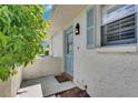Welcoming front entrance with a light blue door, a lantern-style light fixture, and matching shutters at 1903 Canterbury Ln # B24, Sun City Center, FL 33573