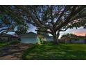 Charming single story home at dusk featuring a well-manicured lawn and mature landscaping at 2559 Redwood Cir, Clearwater, FL 33763