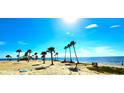 Scenic beach view featuring palm trees, clear blue water, and a sunny sky perfect for relaxation at 13 Windrush Bay Dr, Tarpon Springs, FL 34689