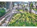 Expansive front yard with a gravel driveway and mature trees providing ample shade at 1359 S Michigan Ave, Clearwater, FL 33756