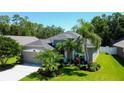 Aerial view of a beautifully landscaped home with a well-maintained lawn and mature trees at 14427 Pepperpine Dr, Tampa, FL 33626