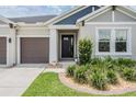 Charming front exterior showcasing lush landscaping and a well-manicured lawn at 6879 Talamore Dr, Wesley Chapel, FL 33545