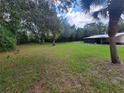 Expansive backyard featuring vibrant green grass and mature trees providing shade, on a bright, sunny day at 9910 Jerome Dr, New Port Richey, FL 34654