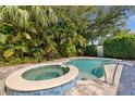 Inviting backyard oasis featuring a pool, spa, and lush tropical landscaping for privacy at 8200 31St N Ter, St Petersburg, FL 33710