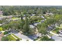Neighborhood aerial view showcasing lush greenery, tree-lined streets, and well-maintained homes at 2850 Doone Cir, Palm Harbor, FL 34684