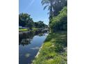 Scenic waterfront view with lush green landscaping and a glimpse of boat docks under a clear sky at 3111 S Canal Dr, Palm Harbor, FL 34684