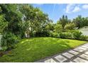 Green backyard featuring lush green grass, mature trees, and a walkway along the edge at 5816 S 3Rd St, Tampa, FL 33611
