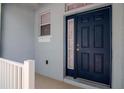 Close up of a stylish blue front door with sidelight, offering a welcoming entrance at 6231 Olivedale Dr, Riverview, FL 33578