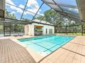 Enclosed pool area with an outdoor kitchen, offering the perfect space for relaxation and entertainment at 13710 Westshire Dr, Tampa, FL 33618