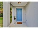 Charming blue front door with decorative plant and welcome mat at 1706 Erin Brooke Dr, Valrico, FL 33594