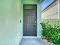 Close-up of the front door, showcasing a modern design and a welcoming entrance at 13806 Reindeer Cir, Hudson, FL 34669
