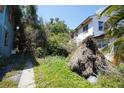 View of the backyard featuring lush greenery and a glimpse of the home at 2355 Trelain S Dr, St Petersburg, FL 33712