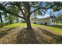 Spacious backyard with lush green lawn, mature shade tree, and partial fencing at 8017 Tudor Pl, Tampa, FL 33610