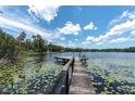 Picturesque dock with a bench overlooking the serene lake and natural vegetation at 11008 Nest Ct, Odessa, FL 33556