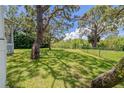 Lush backyard with mature trees and a partial fence line at 389 Grand Bay Dr, Palm Harbor, FL 34683