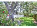 Well-maintained backyard with a white fence, lush greenery, and mature trees providing ample shade at 512 Pinewalk Dr, Brandon, FL 33510