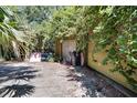 A garage exterior has a door with yellow trim and is surrounded by foliage at 6924 Valrie Ln, Riverview, FL 33569