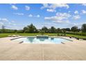 Relaxing backyard pool with a built-in spa and spacious surrounding patio at 17914 Howsmoor Pl, Lutz, FL 33559