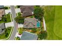 Aerial view of the home showing the pool, the roof line and the surrounding greenery at 23320 Dinhurst Ct, Land O Lakes, FL 34639