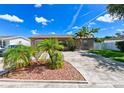 A single-story home with palm trees, complemented by a spacious driveway at 3303 W Idlewild Ave, Tampa, FL 33614