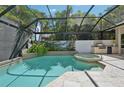 Screened pool with a spa, a built-in grill area, and tropical landscaping for a luxurious outdoor experience at 4615 Shark Dr, Bradenton, FL 34208