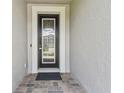 Close-up of the front door showcasing the decorative glass and black frame at 9316 Crescent Ray Dr, Wesley Chapel, FL 33545