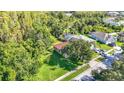 Aerial view of a house with a pool nestled among lush trees and greenery at 10323 Birdwatch Dr, Tampa, FL 33647