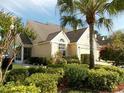 Beige townhome with manicured landscaping and a prominent palm tree in the front yard at 3602 Pine Knot Dr # 0, Valrico, FL 33596