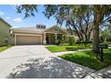 A beige house on a sunny day, with a well-manicured lawn, a tree, and a two-car garage at 13310 Tiger Lilly Ln, Tampa, FL 33625