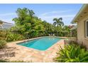 Inviting backyard with a pristine pool surrounded by lush, mature landscaping at 4915 Stolls Ave, Tampa, FL 33615